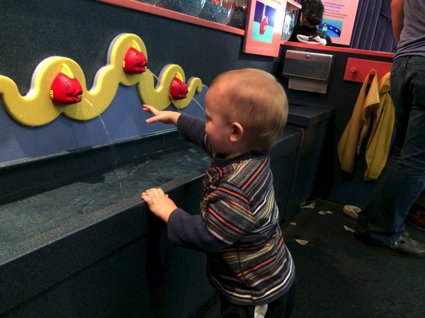 William at 15 Months