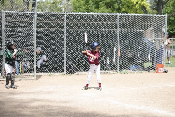 Joe waits for the pitch
